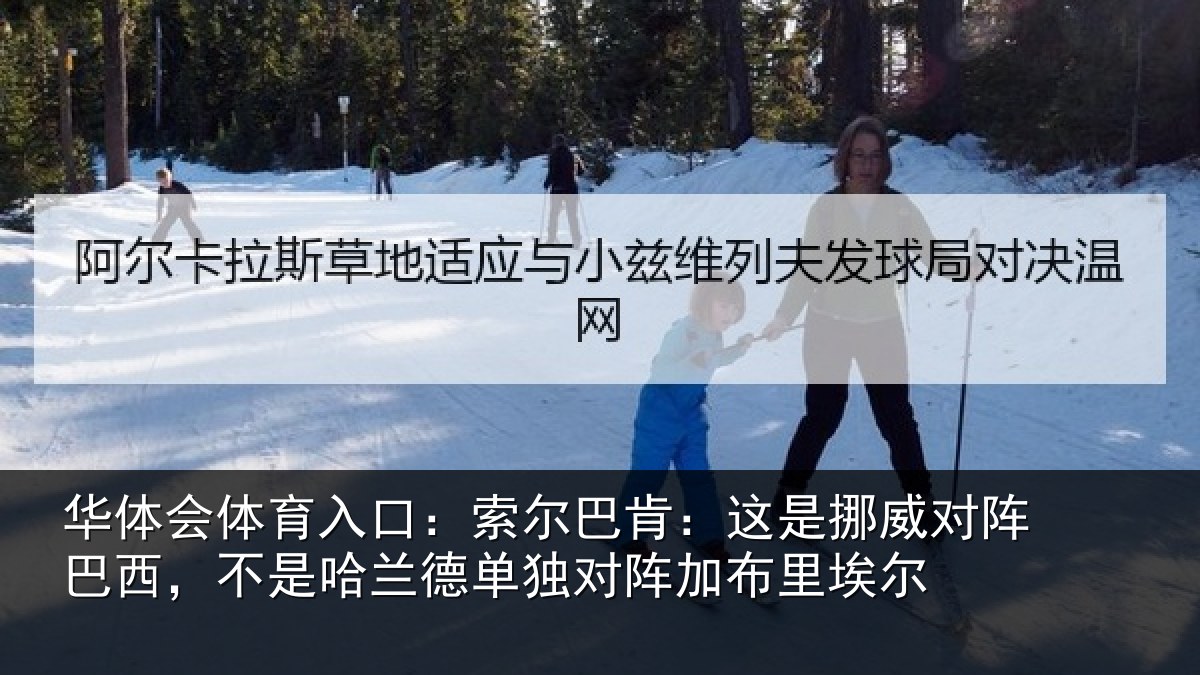 华体会体育入口:索尔相关情况巴西相关情况阵加布里埃尔