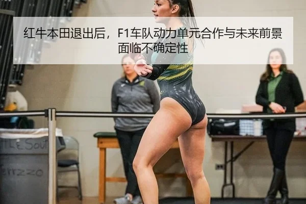 hong-niu-ben-tian-tui-chu-hou-che-dui-dong-li-dan-yuan-he-zuo-yu-wei-lai-qian-jing-mian-lin-bu-que-ding-xing-3-257.jpg