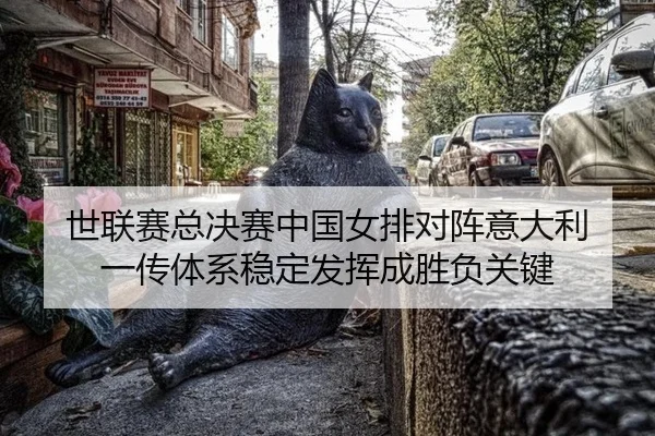 shi-lian-sai-zong-jue-sai-zhong-guo-nv-pai-dui-zhen-yi-da-li-yi-chuan-ti-xi-wen-ding-fa-hui-cheng-sheng-fu-guan-jian-2-224.jpg