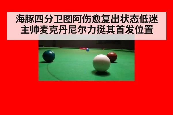 海豚四分卫图阿伤愈复出状态低迷主帅麦克丹尼尔力挺其首发位置