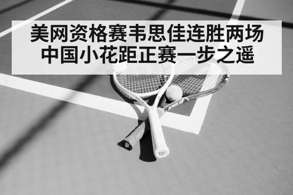 美网资格赛韦思佳连胜两场 中国小花距正赛一步之遥